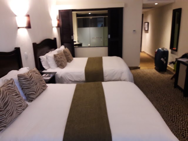 Réserve de chasse Pilanesberg