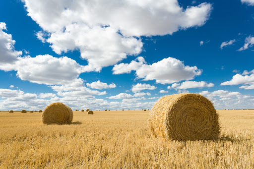 Clearwater Montana Properties, Plains - Thumbnail