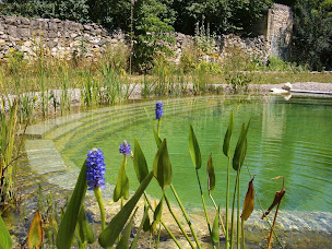 Photo n°9 de NATURE & PRESTIGE à Venelles (Jardin)