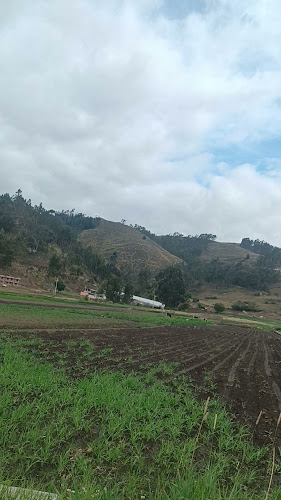Parque Central Ecuador Amazónico Sucúa - Heladería