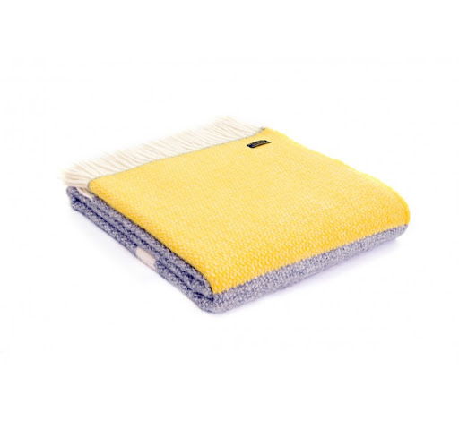 Blanket Box - Visual