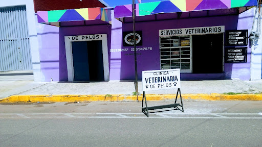 Clínica Veterinaria De Pelos