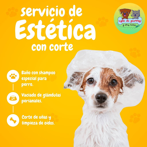 Esta de perros y otros bichos
