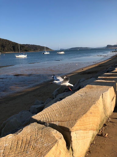 Ettalong Beach Barbeque Area (Public BBQs)