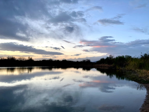 Palo Verde County Park - Thumbnail