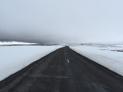 Photos of Vinland