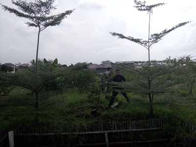 Photos of Nusagrow