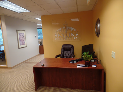 Skyline Properties - Visual