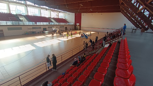 PalaVolcan - Visual
