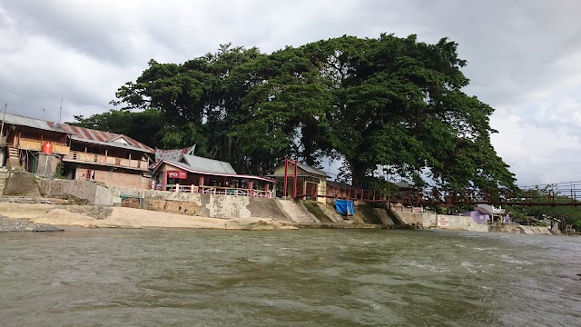 Bukit Lawang-Jungle Trekking