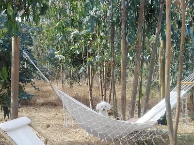 Photos of Las Dichas Lodge