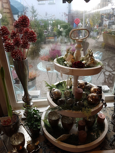 Garten & Wohnen Zinser - Thumbnail