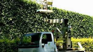 Photo n°9 de Joseph Elagage à La Tronche (Service d'élagage)