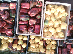 Photo n°9 de Magasin producteur 