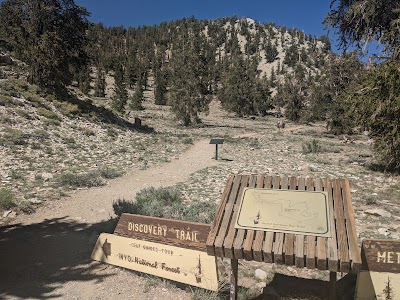 Ancient Bristlecone Pine Forest Visitor Center