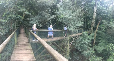 Photos of Dlinza Forest Aerial Boardwalk