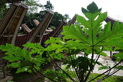 Photos of Ne Pakku Family House