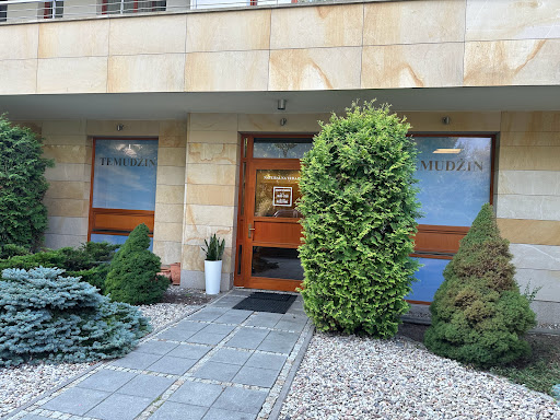 Temudzin Naturalna Terapia