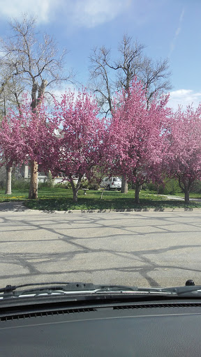 Romero Park - Thumbnail