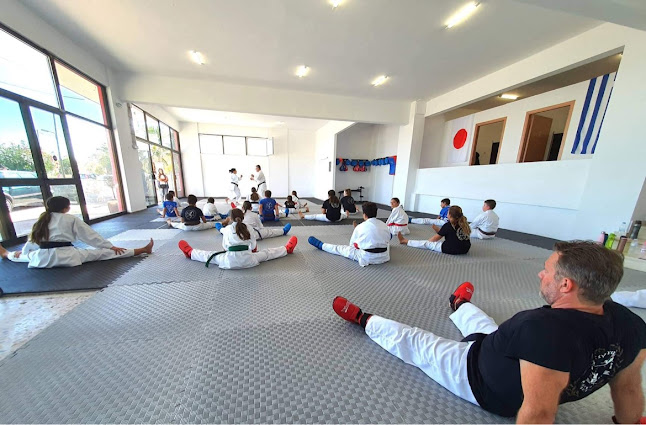 Αθλητικός Όμιλος Καράτε Ξυλοκάστρου - Αθλητικό είδος