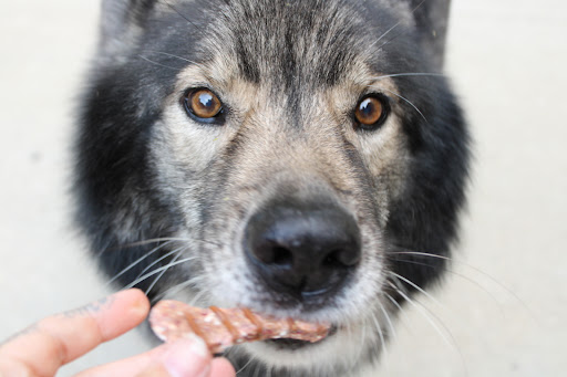 Biscuit’s Biscuits - Thumbnail