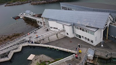 Photos of Lofotakvariet