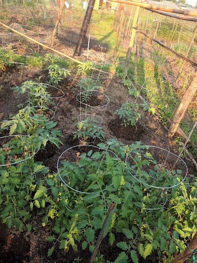 West Side Community Gardens