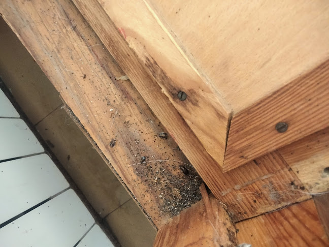Opinie o CleanSpot w Warszawa - Inny