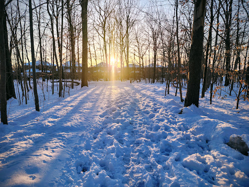 Tom Chater Memorial Park - Thumbnail