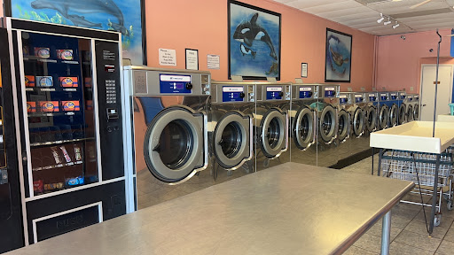Beachside Laundry - Visual