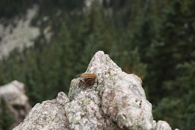 Pecos Wilderness