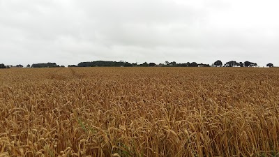Photos of Panoramacamping Colmont