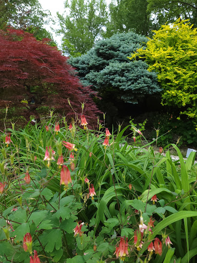 Loman Park - Thumbnail