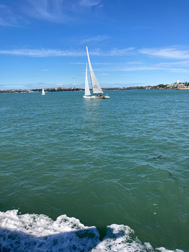 Auckland Waterfront - Thumbnail