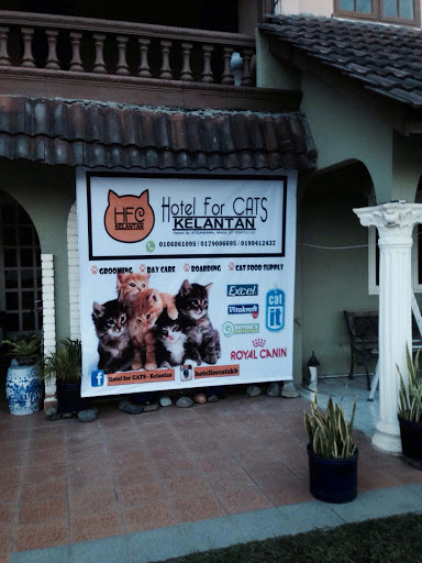 Hotel for CATS - Kelantan