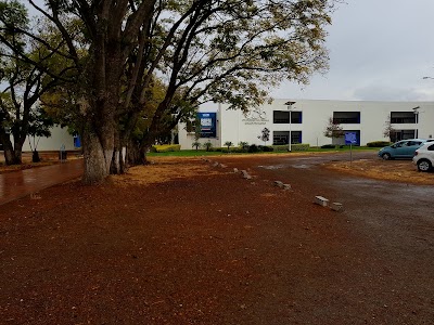 university
