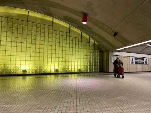 Plamondon - Visual