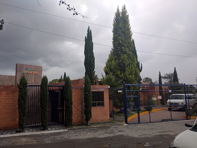 Photos of Centro Educativo Crecer, A.C.