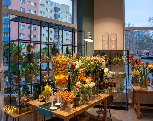 Blumen am Eck - Visual