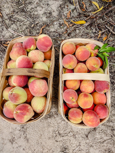 Shuler Peach Company Gallery - United States