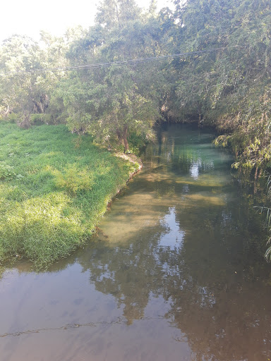 Rio Yautepec - Visual