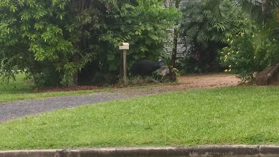 Photos of Woolworths Mission Beach