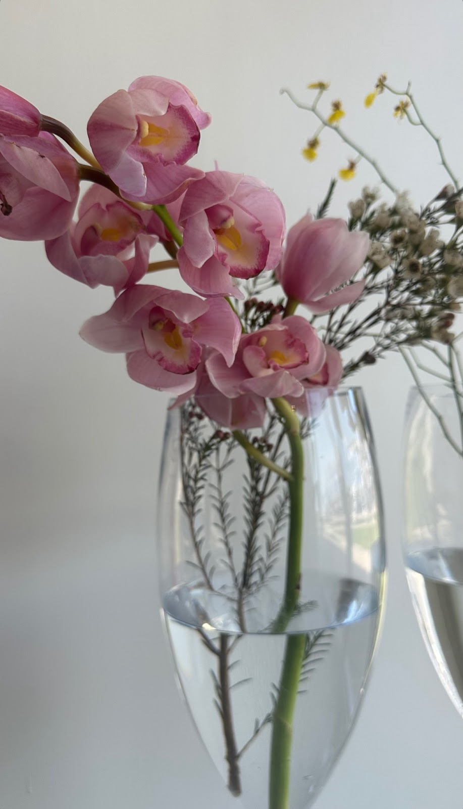 غرس للزهور Ghars flowers - صورة 2