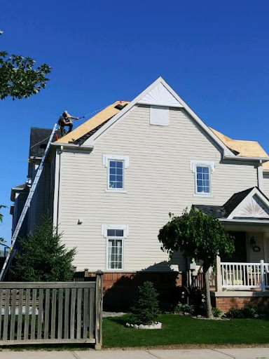 Newf's on Roofs - Thumbnail