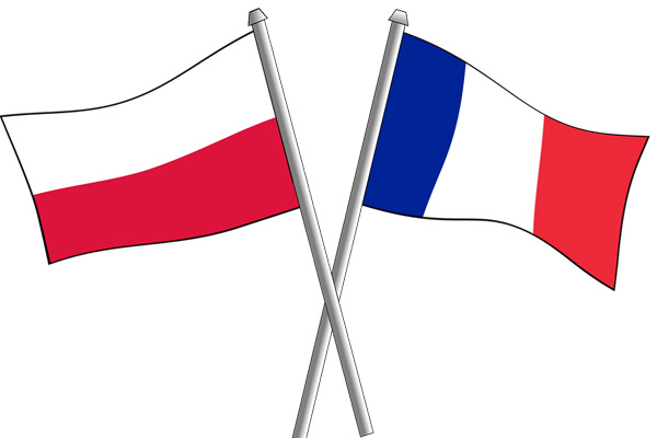 Opinie o Tłumaczenie dokumentów samochodowych - język francuski, język angielski w Konin - Tłumacz