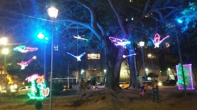 Photos of Parque Las Palmas