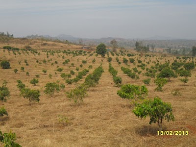 Photos of HTOO Plantation Business Unit
