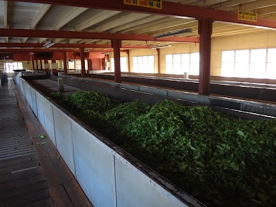 Photos of Galaboda Group Tea Factory