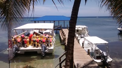 Photos of Ocean Connections Water Sports