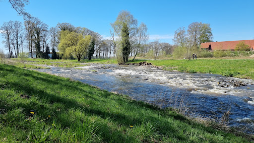 Sohl - Fischgleite